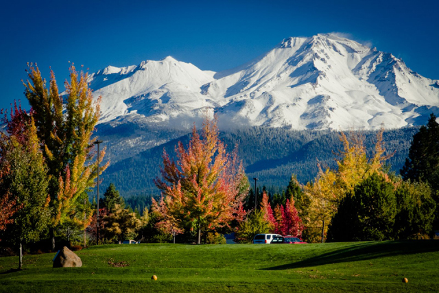 Play golf at Mount Shasta Resort and bring your camera 640