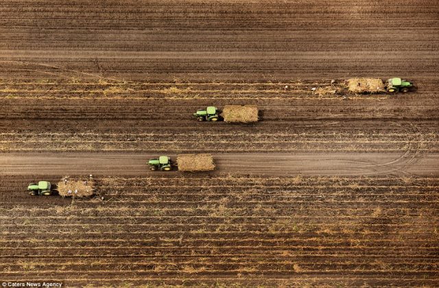 tractors-travelling-in-perfectly-parallel-lines-plow-a-field-in-this-photograph-taken-by-jassen-todorov-above-florida