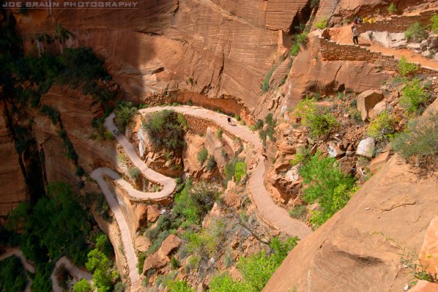 west-rim-trail-15-best-hikes-in-zion-national-park